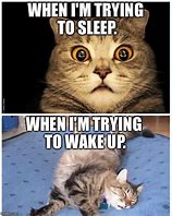 Image result for Trying to Wake Up Meme