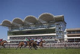 Image result for Newmarket Racecourse