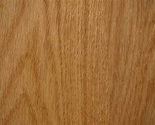 Image result for Tree Wood Grain Texture