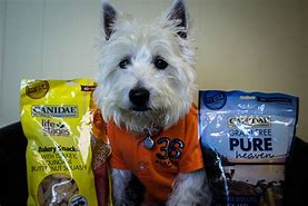 Image result for Canidae Pet Food