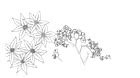 Image result for Flower Transparent PNG Cartoon