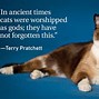 Image result for You Are the Best Cat