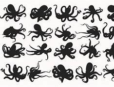 Image result for Octopus Silhouette Design