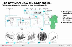 Image result for Ammonia Fuel Supply System