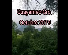 Image result for guayme�o