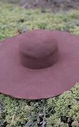 Image result for Blank Brown Hat