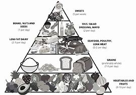 Image result for Dash Diet Pyramid