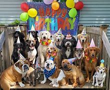 Image result for Big Dog Birthday