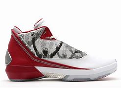 Image result for Jordan 22s