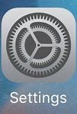 Image result for iPhone SE General Settings
