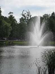 Image result for City Park in Amsterdam