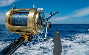 Image result for Sea Fishing Line