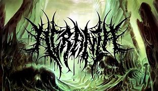 Image result for Acrania Band
