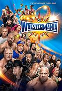 Image result for WWE Wrestlemania 33