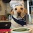Image result for Dog with Hat