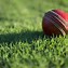 Image result for Cricket Wirelesw Wallpaper 4K