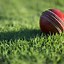 Image result for Cricket HD Wallpapers for Laptop 4K