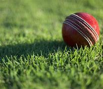 Afbeeldingsresultaten voor Bing Ai Cricket