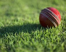 Image result for Cricket Ground Pitch 4K