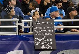 Image result for Funny NFL Fan Signs