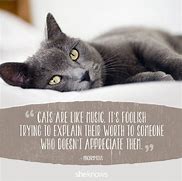 Image result for Sarcastic Cat Quotes