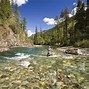 Image result for Fly Fishing Images. Free