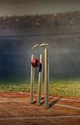 Image result for Cricket Poster