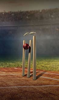 Image result for Cricket Out Last Phone Case