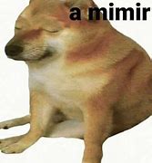 Image result for Fan Meme Chemes