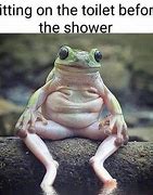 Image result for Sad Frog MEME Funny