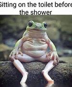 Image result for Shocked Frog Meme