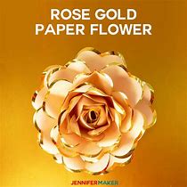 Image result for 5S Rose Gold