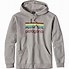 Image result for Patagonia Sweatshirt Men