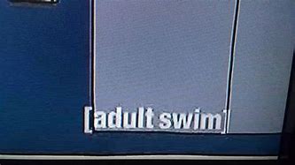 Image result for Adult Swim Screen Bug