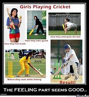 Image result for Cricket Fan Meme
