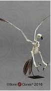 Image result for Harpy Anatomy