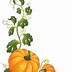 Image result for Illustration Pumpkin Vine