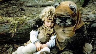 Image result for Star Wars Endor Ewok