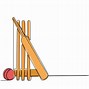 Image result for Cricket Bat Coloring Pages