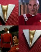 Image result for Star Trek Picard Insignia