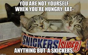 Image result for Eat a Snickers Meme