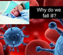 Image result for Why Do We Fall Ill Flow Chart