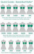 Image result for B and DD Bra Sizes