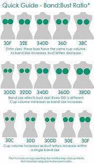 Image result for Us Bra Cup Size Chart