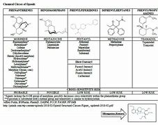 Image result for Opioid Cross-Sensitivity Chart