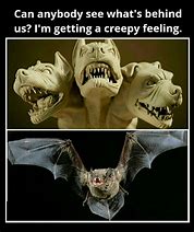 Image result for Vampire Bat Meme