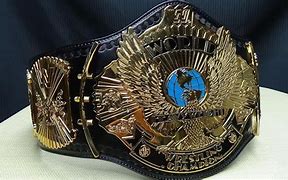 Image result for WWE Winged Eagle Championship Belt