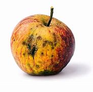 Image result for Butchy Rotten Apple