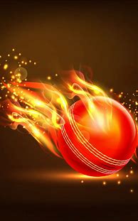 Image result for Cricket Ball Made Of