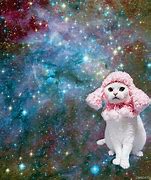 Image result for Glitch Cat GIF